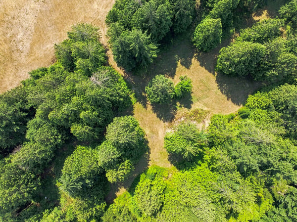 7495 Jewett Road, Clinton, WA