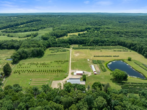 317 Bebbington Road, Ashford, CT