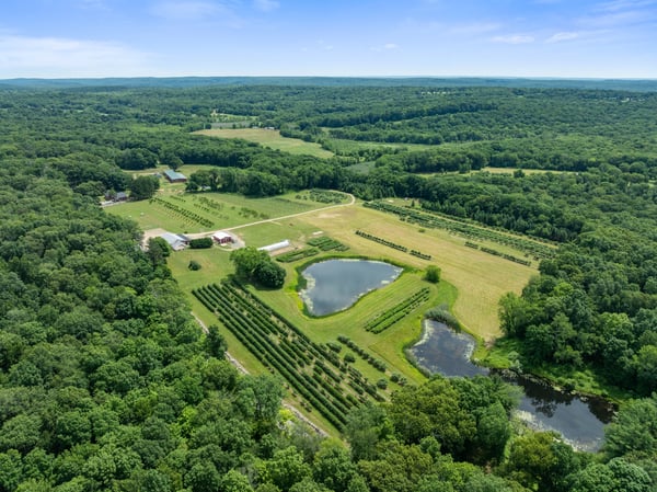 317 Bebbington Road, Ashford, CT