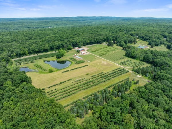 317 Bebbington Road, Ashford, CT