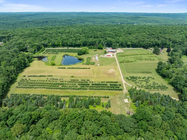 317 Bebbington Road, Ashford, CT