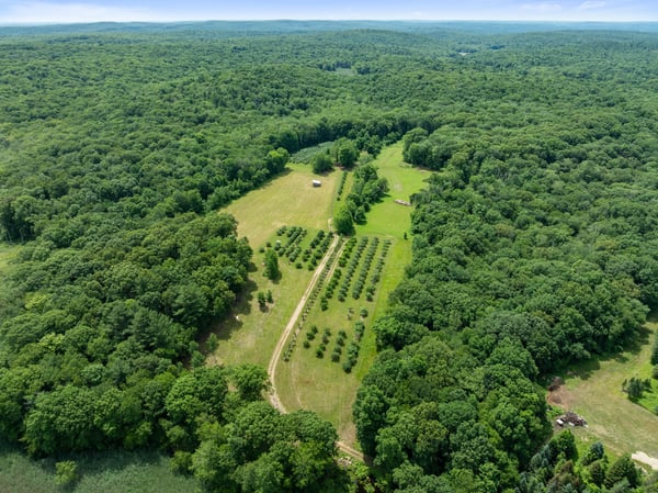 317 Bebbington Road, Ashford, CT