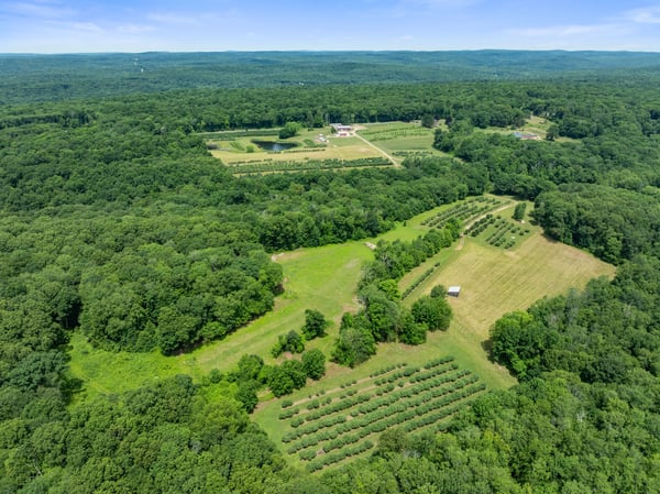 317 Bebbington Road, Ashford, CT