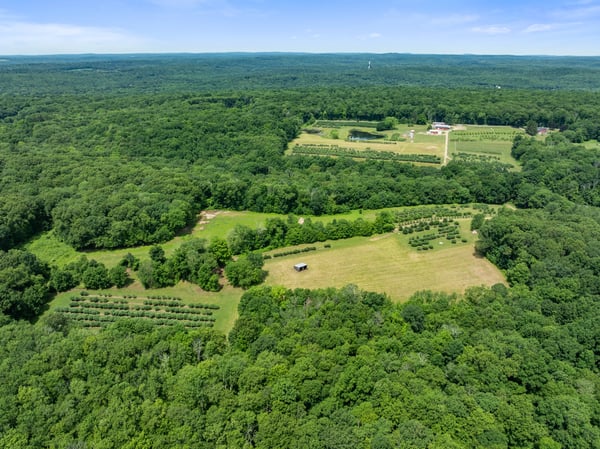 317 Bebbington Road, Ashford, CT