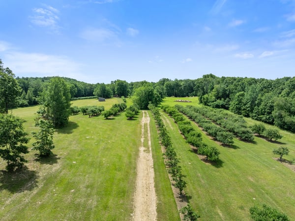 317 Bebbington Road, Ashford, CT