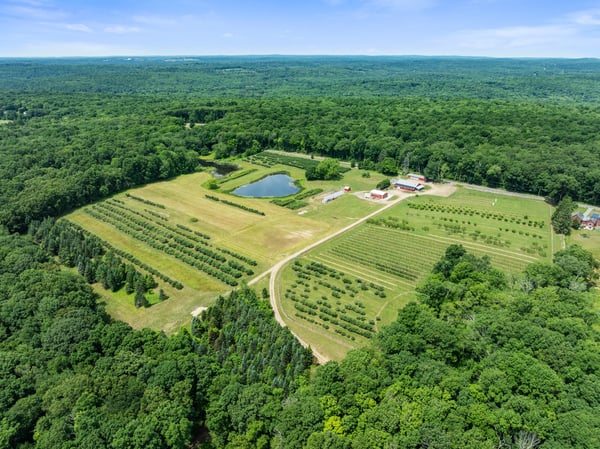 317 Bebbington Road, Ashford, CT