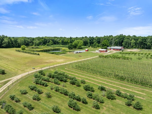 317 Bebbington Road, Ashford, CT