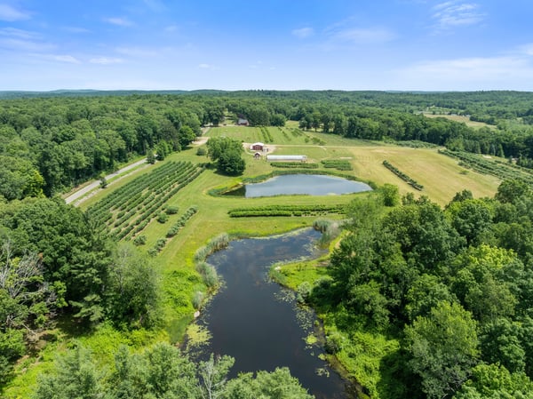 317 Bebbington Road, Ashford, CT