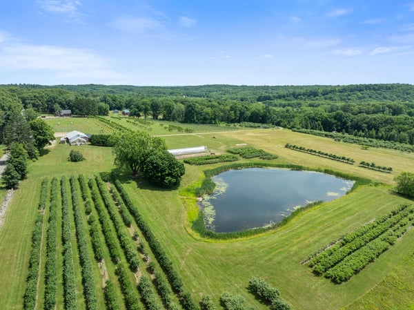 317 Bebbington Road, Ashford, CT