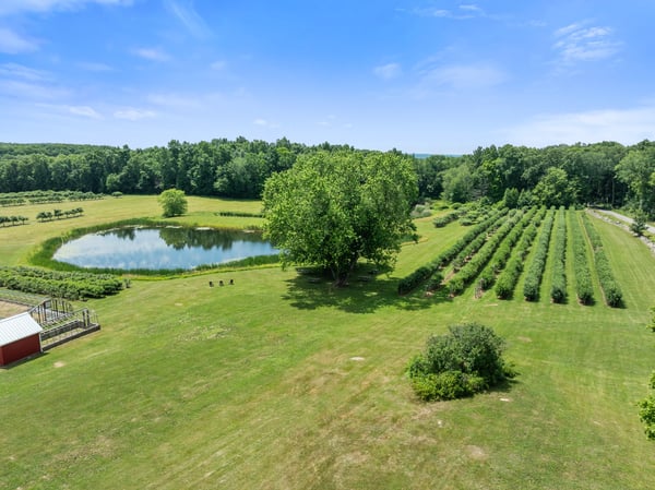 317 Bebbington Road, Ashford, CT