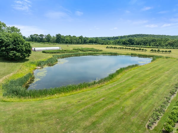 317 Bebbington Road, Ashford, CT