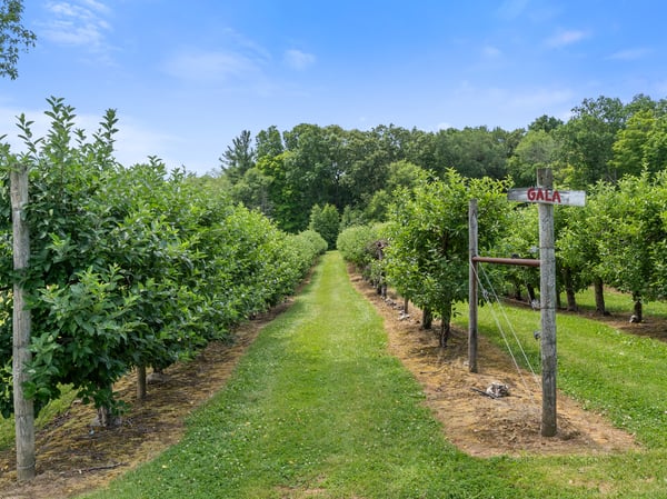 317 Bebbington Road, Ashford, CT