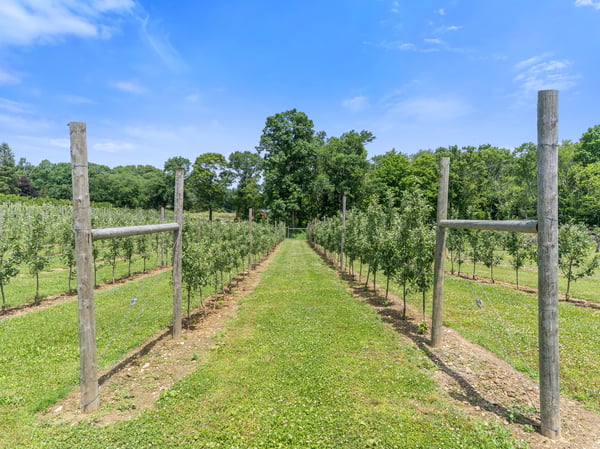 317 Bebbington Road, Ashford, CT