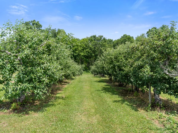 317 Bebbington Road, Ashford, CT
