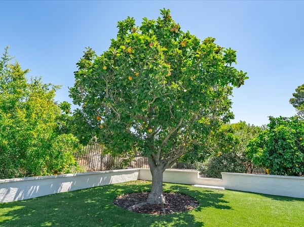 12366 Grandee Court, San Diego, CA