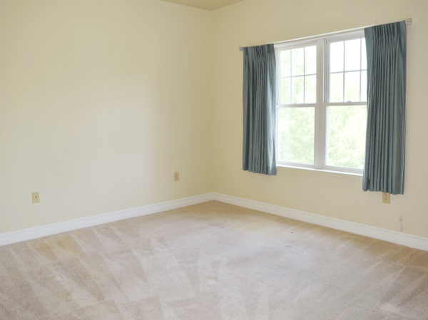 Primary Bedroom w/ Neutral Carpet