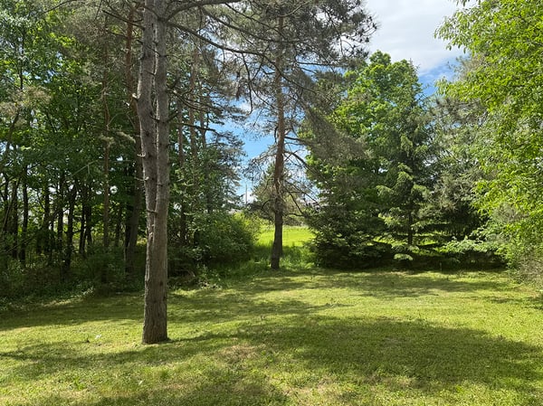 1.26 Acres