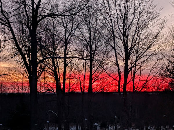 Winter Sunset