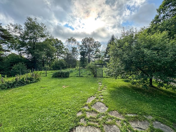 Front Yard