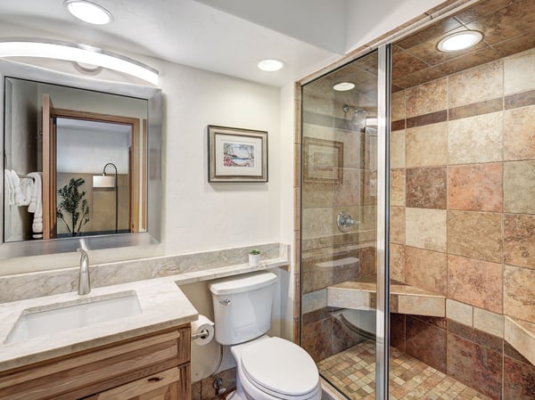442 White Cloud Drive, Breckenridge, CO