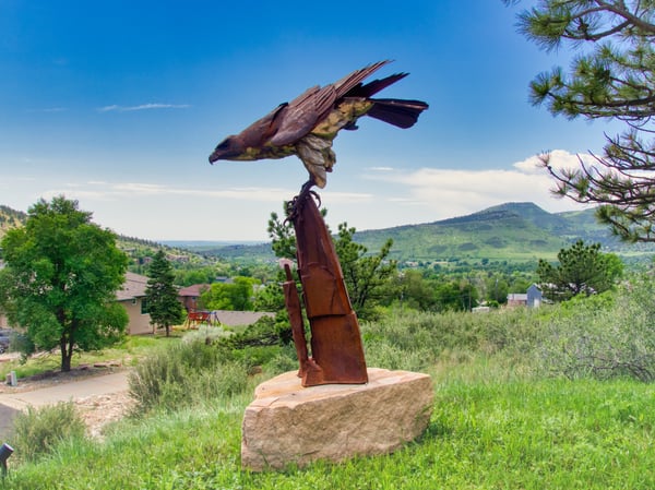 385 Vasquez Ct, Lyons, CO