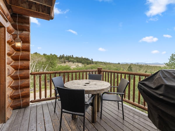1586 SHEEP RIDGE ROAD, Fairplay, CO