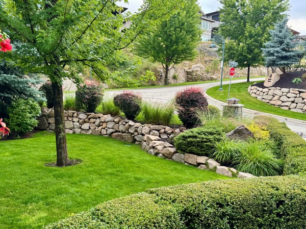 Lush landscaping featuring diverse shrubs and trees, offering a vibrant outdoor space in a peaceful neighborhood.
