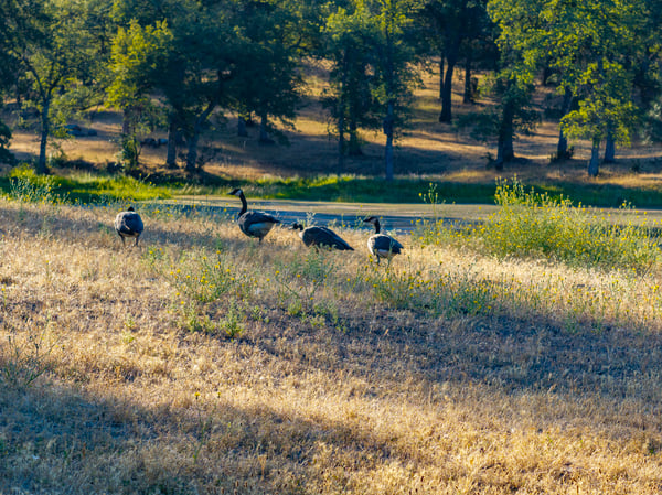8499 Simmons Road, Redding, CA