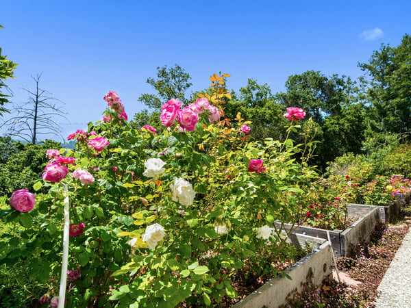 4545 N Rodeo Gulch, Soquel, CA