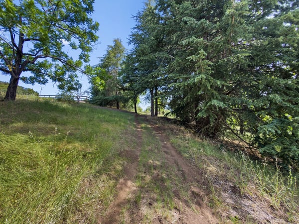 7025 Glen Haven Rd, Soquel, CA