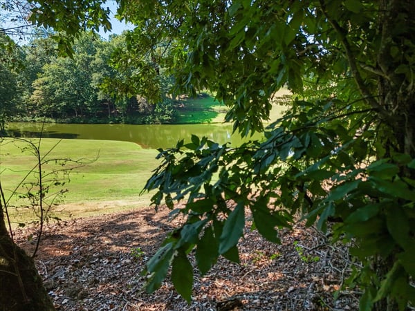 0 Lineberry Lane, Cumming, GA