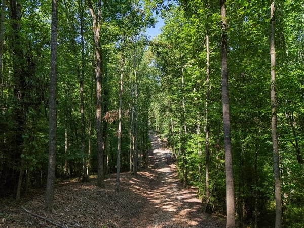 0 Lineberry Lane, Cumming, GA
