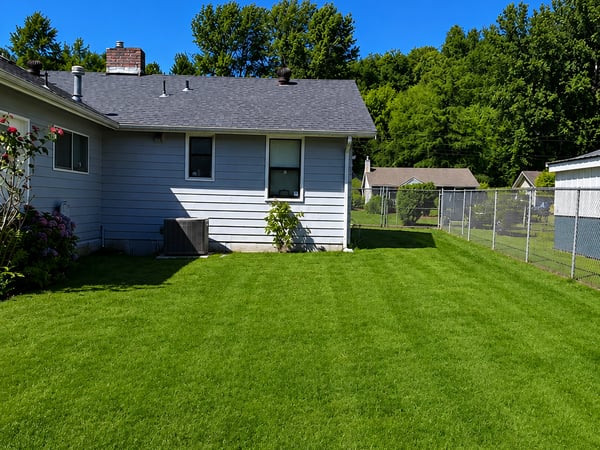 Spacious backyard perfect for outdoor gatherings and leisure activities.