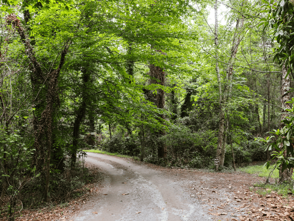 240 Beech Creek Road, Athens, GA