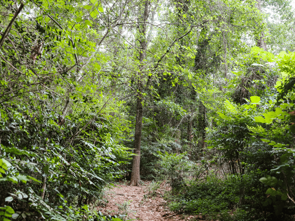 240 Beech Creek Road, Athens, GA
