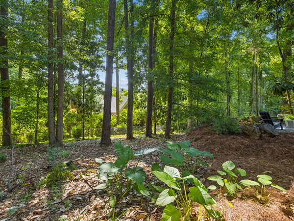 4091 Peachtree Dunwoody Road NE, Atlanta, GA