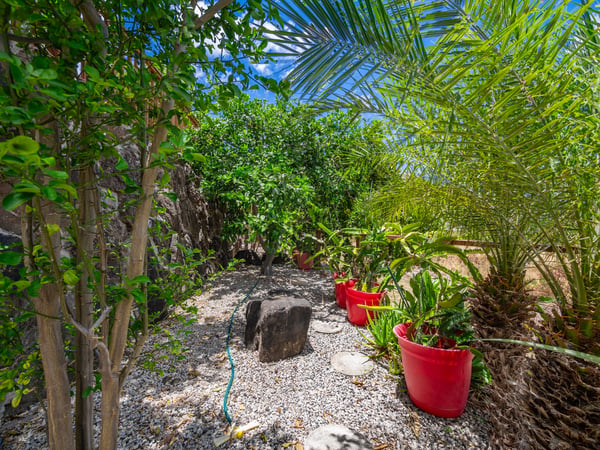 87-1126 Anaha St, Waianae, HI
