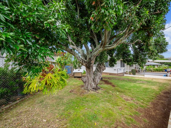 71 Kawananakoa Pl, Honolulu, HI