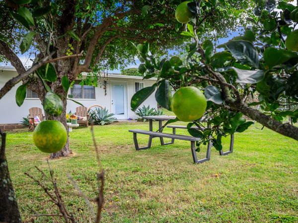 71 Kawananakoa Pl, Honolulu, HI