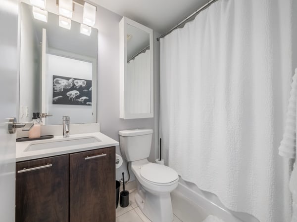 169 Fort York Blvd #918, Toronto, ON