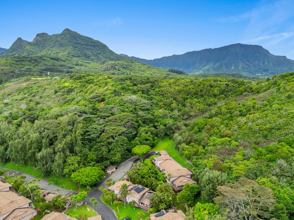 Discover this hillside retreat surrounded by lush greenery and stunning mountain views, offering privacy and tranquility.