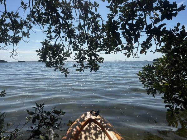 1593 Pinellas Bayway S #1, Tierra Verde, FL