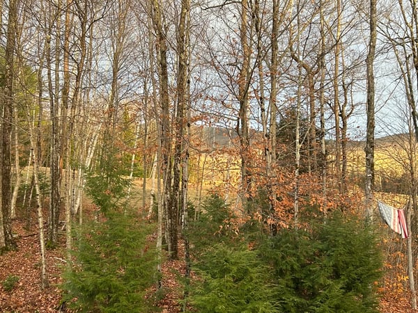 158 Camp Road, Burke, VT