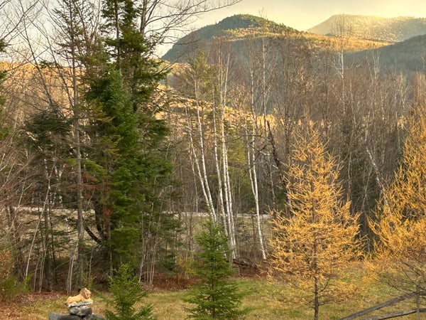 158 Camp Road, Burke, VT