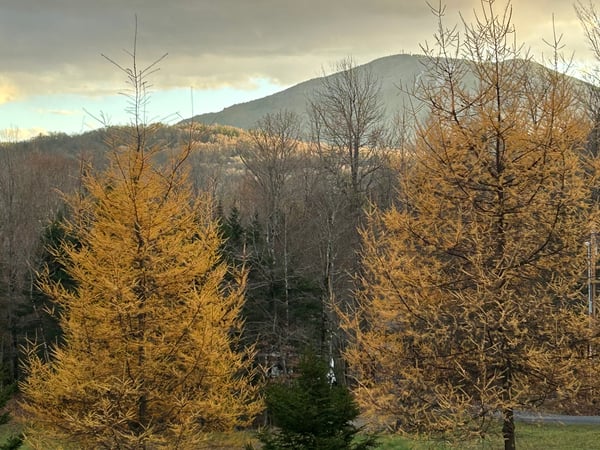 158 Camp Road, Burke, VT