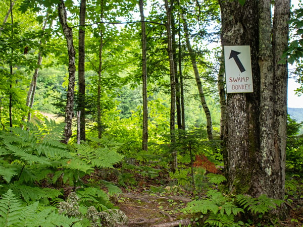 158 Camp Road, Burke, VT