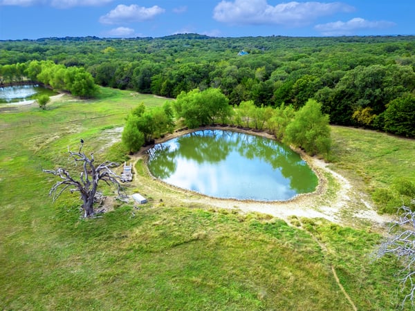 POND...Near The Home