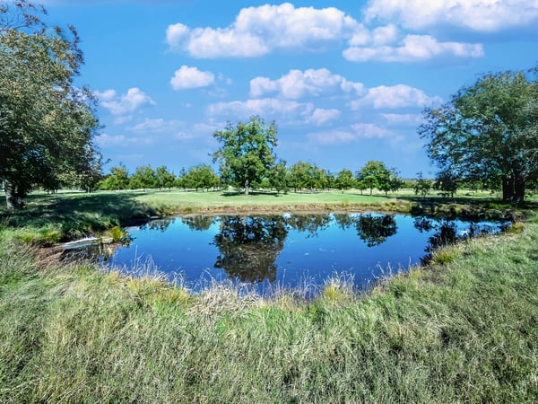 ONE OF MANY PONDS