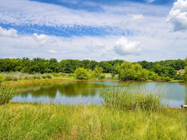 ONE OF MANY PONDS