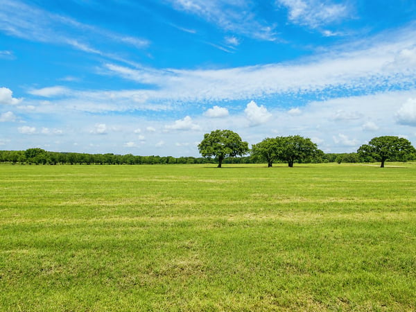 HAY MEADOW...Extra View